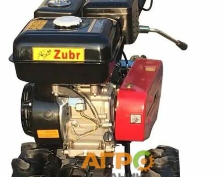 Зубр Другая, объемом двигателя 0 л и пробегом 1 тыс. км за 399 $, фото 3 на Automoto.ua