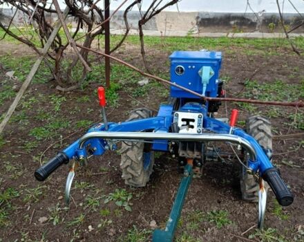 Зубр Інша, об'ємом двигуна 0 л та пробігом 0 тис. км за 1100 $, фото 2 на Automoto.ua