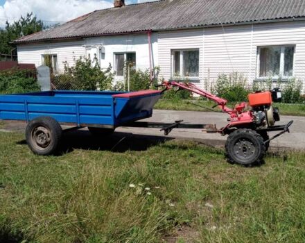 Зубр Другая, объемом двигателя 0.3 л и пробегом 0 тыс. км за 865 $, фото 2 на Automoto.ua