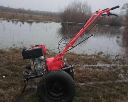 Зубр Інша, об'ємом двигуна 0.3 л та пробігом 25 тис. км за 662 $, фото 2 на Automoto.ua