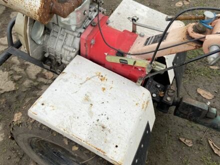 Зубр Інша, об'ємом двигуна 0 л та пробігом 0 тис. км за 738 $, фото 1 на Automoto.ua