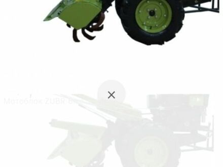 Зубр Другая, объемом двигателя 20 л и пробегом 100 тыс. км за 710 $, фото 1 на Automoto.ua