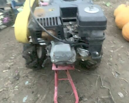 Красный Зубр GN-2, объемом двигателя 0.2 л и пробегом 100 тыс. км за 257 $, фото 1 на Automoto.ua