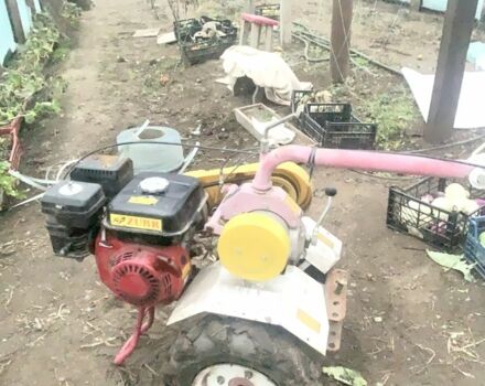 Красный Зубр GN-2, объемом двигателя 0.2 л и пробегом 100 тыс. км за 257 $, фото 3 на Automoto.ua