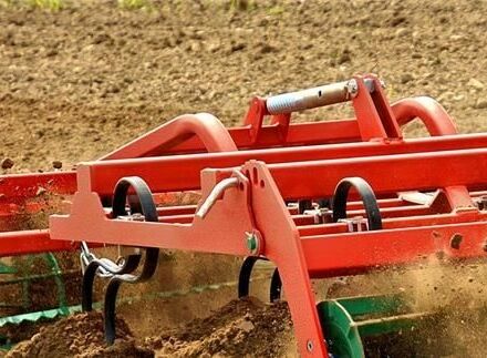 Красный Agro-Masz Другая, объемом двигателя 0 л и пробегом 0 тыс. км за 7793 $, фото 11 на Automoto.ua