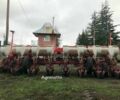 Agromaster Другая, объемом двигателя 0 л и пробегом 0 тыс. км за 13790 $, фото 4 на Automoto.ua