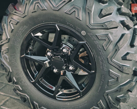 Aodes Pathcross 525L, объемом двигателя 0.5 л и пробегом 0 тыс. км за 6800 $, фото 17 на Automoto.ua