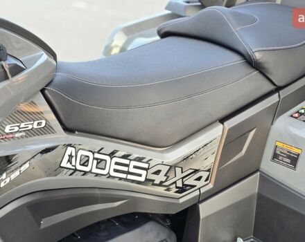 Aodes Pathcross 650L, об'ємом двигуна 0.65 л та пробігом 0 тис. км за 8950 $, фото 4 на Automoto.ua