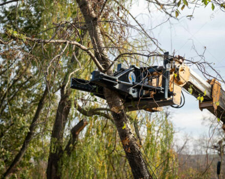 A.TOM Другая, объемом двигателя 6 л и пробегом 0 тыс. км за 150059 $, фото 11 на Automoto.ua