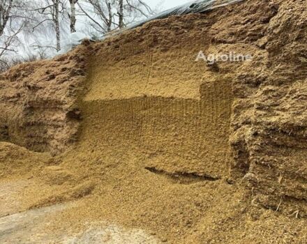 A.TOM Другая, объемом двигателя 6 л и пробегом 0 тыс. км за 522081 $, фото 9 на Automoto.ua