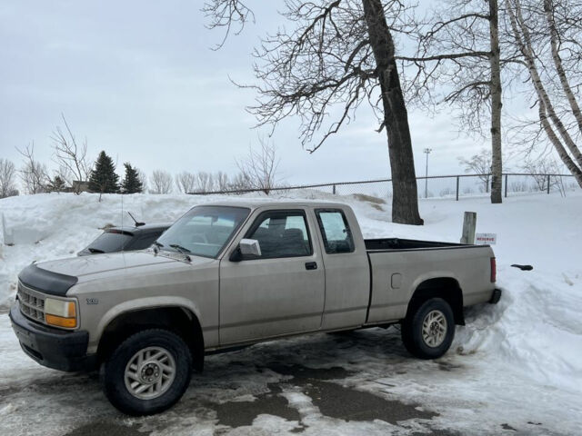 Dodge Dakota 1993 года