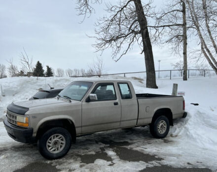 Фото на відгук з оцінкою 4.4   про авто Dodge Dakota 1993 року випуску від автора “16226840” з текстом: Всем доброго времени суток! Это будет отзыв о моем шестом по счету автомобиле. До этого ездил на ...