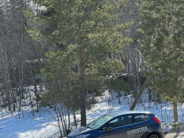 Ford Fiesta 2008 года