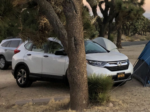 Honda CR-V 2019 года