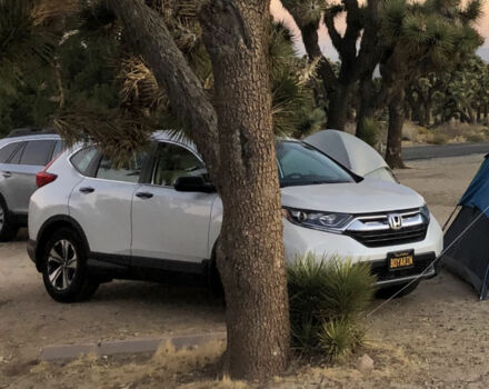 Honda CR-V 2019 года - Фото 4 авто