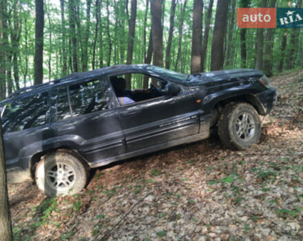 Jeep Grand Cherokee 2004 года - Фото 3 авто