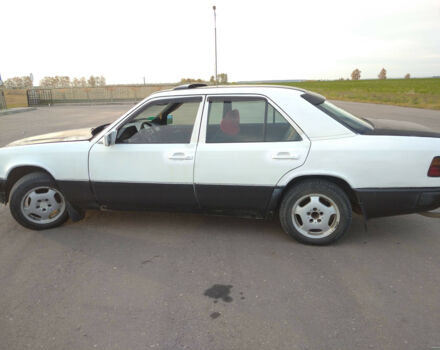 Mercedes-Benz E-Class 1987 года - Фото 20 авто