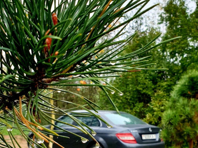 Мерседес С Класс 2009 року Mercedes-Benz S-Class 2009 року