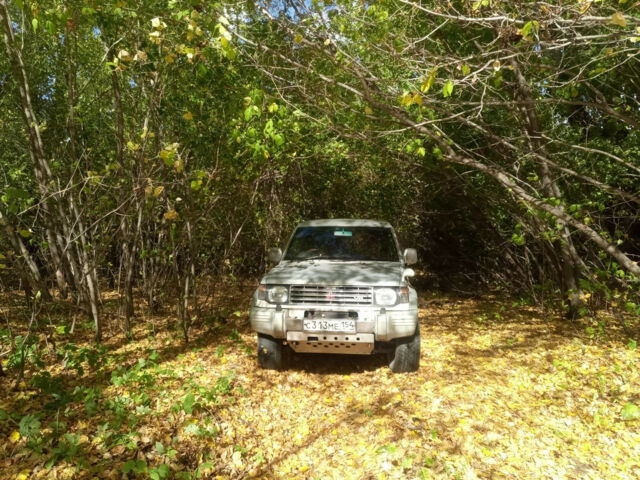 Mitsubishi Pajero 1994 года