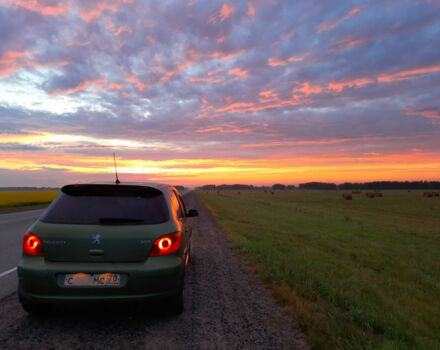Peugeot 307 2005 года - Фото 14 авто