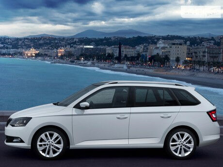 Шкода Фабия 2009 года Skoda Fabia 2009 года