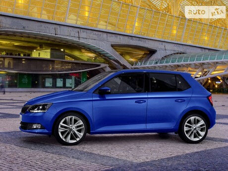 Шкода Фабия 2009 года Skoda Fabia 2009 года