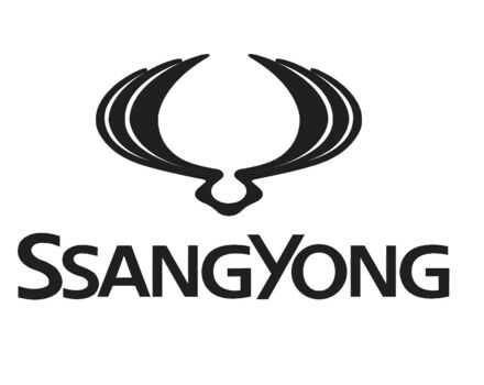 SsangYong Kyron 2013 року - Фото 29 автомобіля