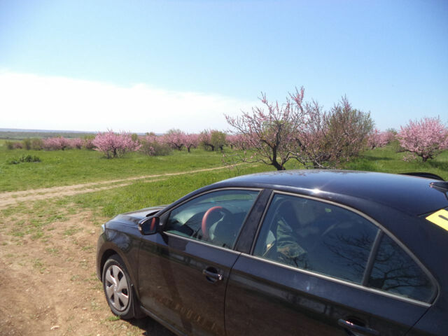 Volkswagen Polo 2020 года