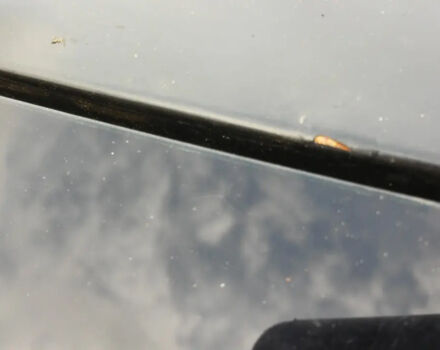 Volkswagen Polo 2011 года - Фото 5 авто