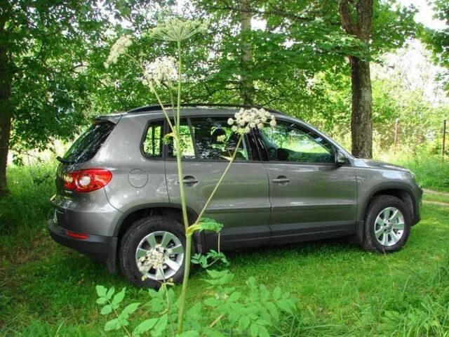 Volkswagen Tiguan 2009 года