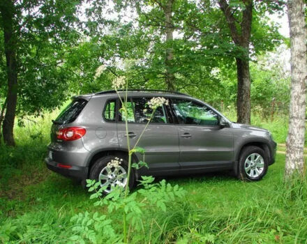 Volkswagen Tiguan 2009 года - Фото 3 авто