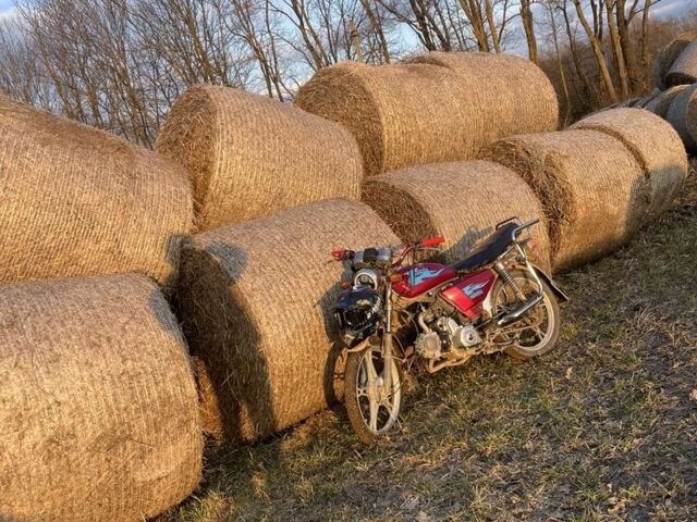 Альфа 110, об'ємом двигуна 0.11 л та пробігом 0 тис. км за 392 $, фото 1 на Automoto.ua