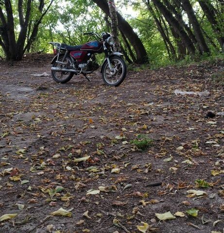 Альфа Другая, объемом двигателя 72 л и пробегом 0 тыс. км за 143 $, фото 1 на Automoto.ua