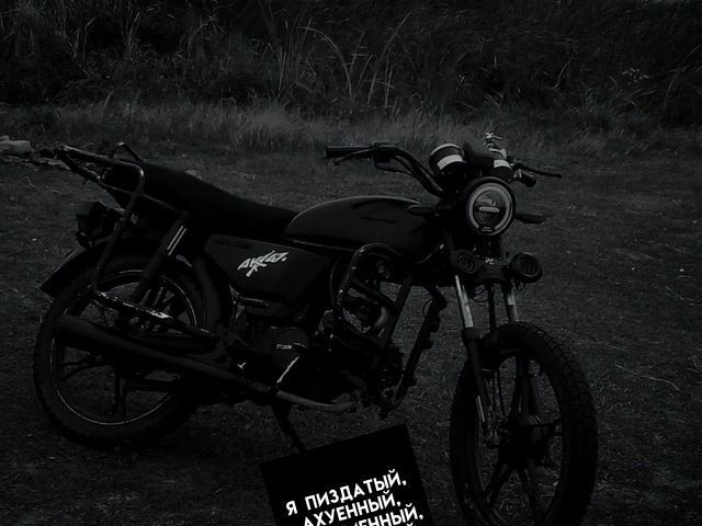 Альфа Другая 2008 у Синельниковом на Automoto.ua Альфа Другая, об'ємом двигуна 0.11 л та пробігом 0 тис. км за 417 $, фото 1 на Automoto.ua