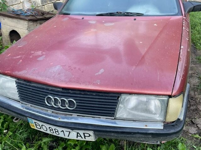 Ауди 100, объемом двигателя 0 л и пробегом 200 тыс. км за 730 $, фото 1 на Automoto.ua