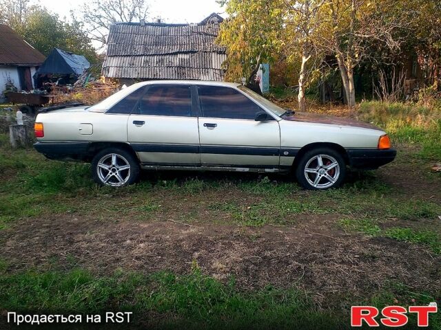 Ауди 100 1988 в Черкассах на Automoto.ua Серый Ауди 100, объемом двигателя 2.3 л и пробегом 0 тыс. км за 1500 $, фото 1 на Automoto.ua