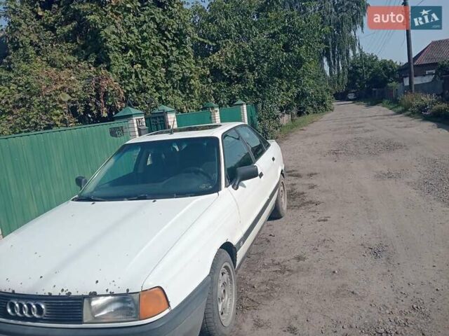 Білий Ауді 80, об'ємом двигуна 1.8 л та пробігом 280 тис. км за 1600 $, фото 1 на Automoto.ua