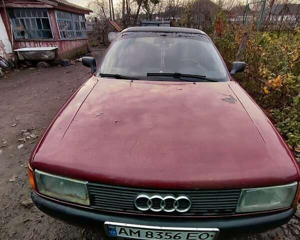 Красный Ауди 80, объемом двигателя 1.8 л и пробегом 280 тыс. км за 1600 $, фото 1 на Automoto.ua