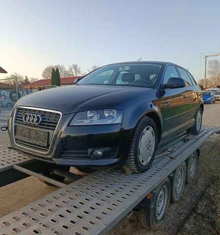 Черный Ауди А3, объемом двигателя 1.6 л и пробегом 177 тыс. км за 5999 $, фото 1 на Automoto.ua