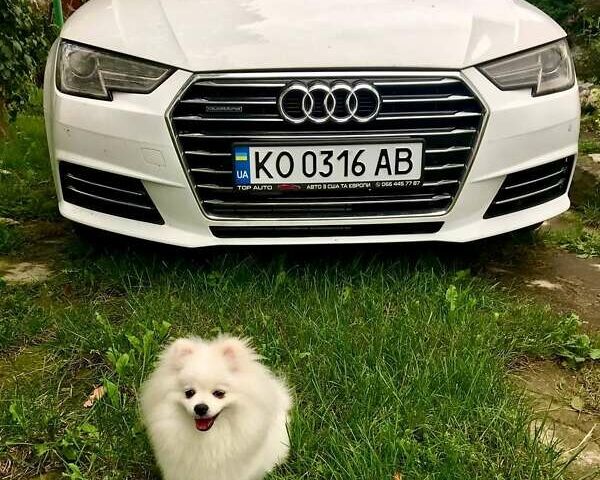 Білий Ауді А4, об'ємом двигуна 1.98 л та пробігом 143 тис. км за 14400 $, фото 1 на Automoto.ua