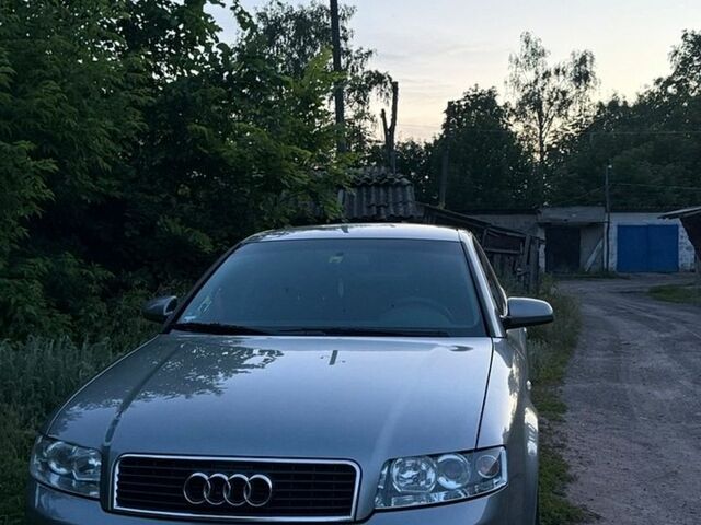 Сірий Ауді А4, об'ємом двигуна 2 л та пробігом 237 тис. км за 5000 $, фото 1 на Automoto.ua