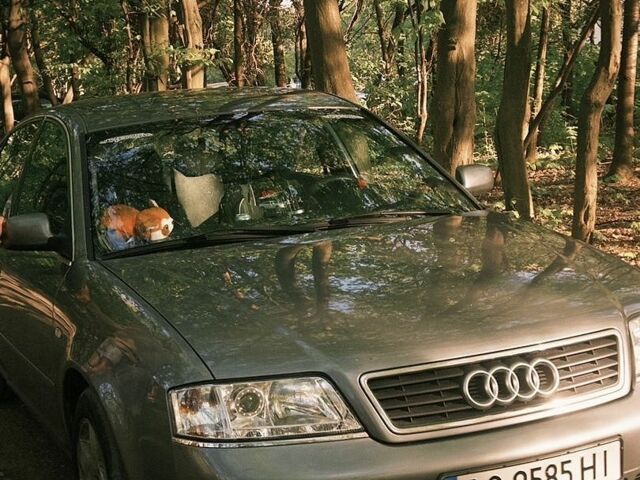 Сірий Ауді А6, об'ємом двигуна 1.9 л та пробігом 460 тис. км за 3200 $, фото 1 на Automoto.ua