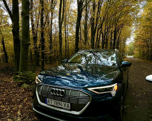 Синий Ауди E-Tron, объемом двигателя 0 л и пробегом 59 тыс. км за 33900 $, фото 1 на Automoto.ua