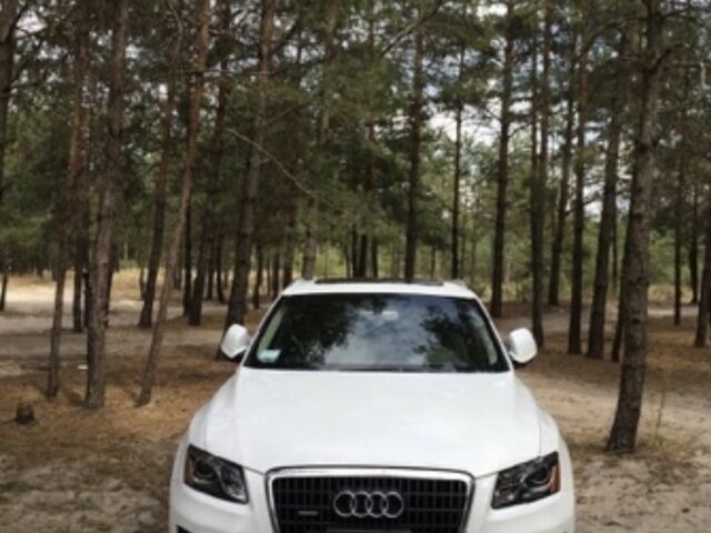 Білий Ауді Ку 5, об'ємом двигуна 0 л та пробігом 1000 тис. км за 12000 $, фото 1 на Automoto.ua