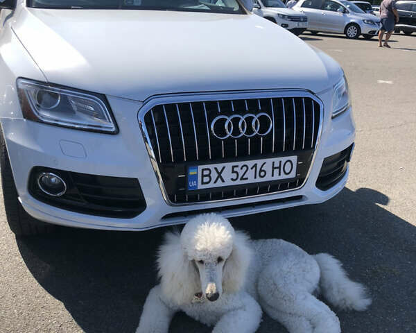 Белый Ауди Ку 5, объемом двигателя 2.97 л и пробегом 162 тыс. км за 19555 $, фото 1 на Automoto.ua