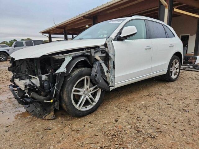 Белый Ауди Ку 5, объемом двигателя 0 л и пробегом 172 тыс. км за 11500 $, фото 1 на Automoto.ua