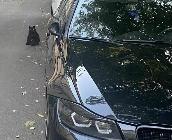 Черный БМВ 3 Серия, объемом двигателя 3 л и пробегом 190 тыс. км за 11000 $, фото 1 на Automoto.ua