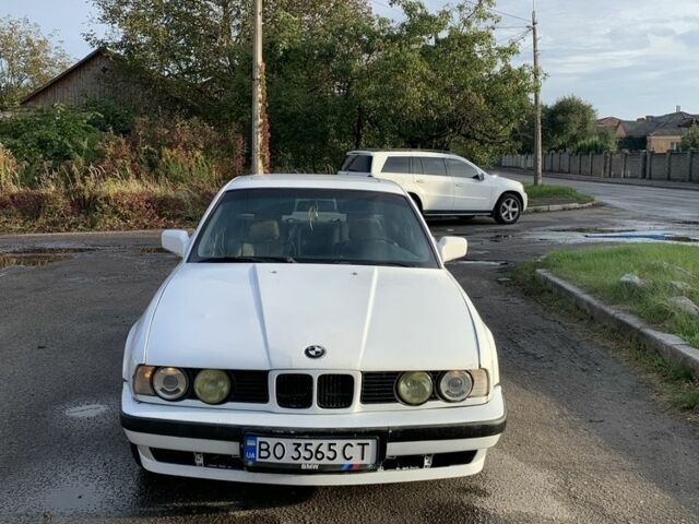 Белый БМВ 5 Серия, объемом двигателя 2 л и пробегом 222 тыс. км за 2099 $, фото 1 на Automoto.ua