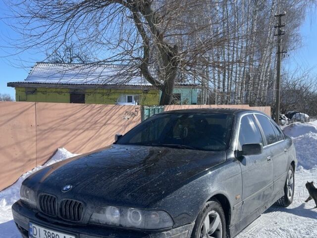 Черный БМВ 5 Серия, объемом двигателя 2.5 л и пробегом 500 тыс. км за 5300 $, фото 1 на Automoto.ua