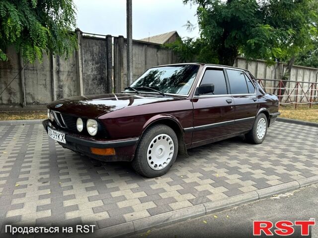 Коричневый БМВ 5 Серия, объемом двигателя 2.5 л и пробегом 150 тыс. км за 1500 $, фото 1 на Automoto.ua